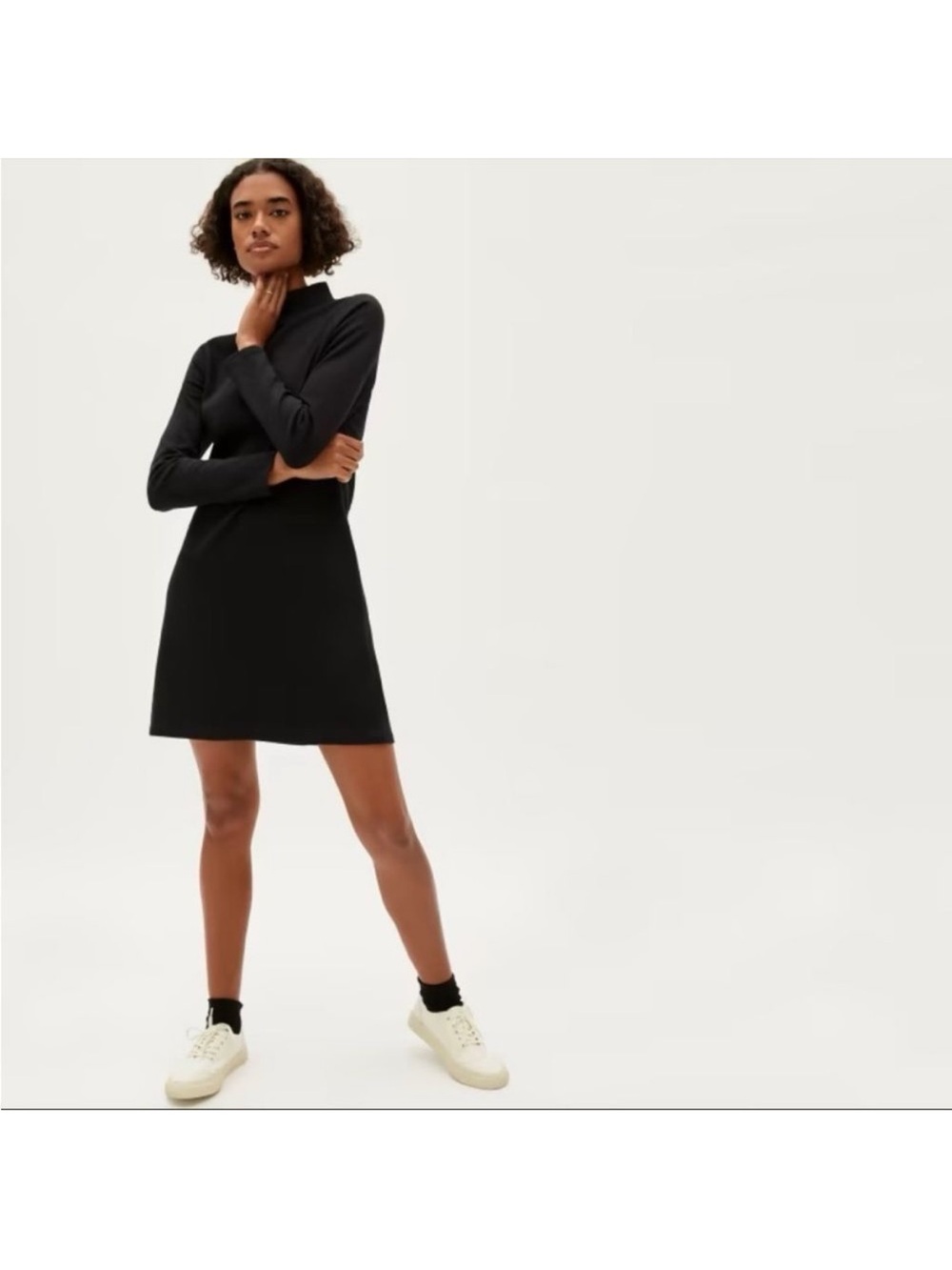 Everlane Long-Sleeve Mock neck Black A-Line Dress